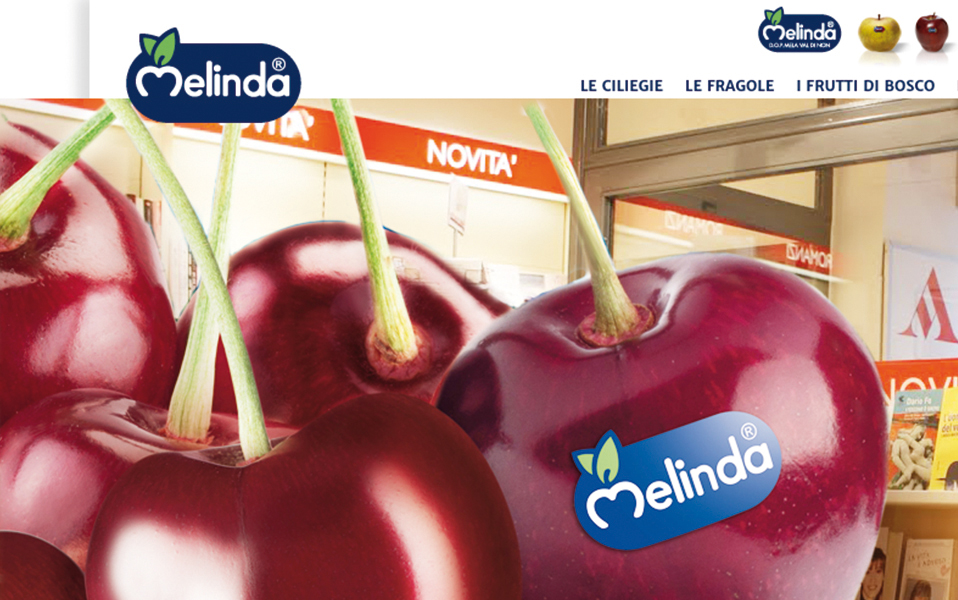 02 SPECIALISTI MELINDA