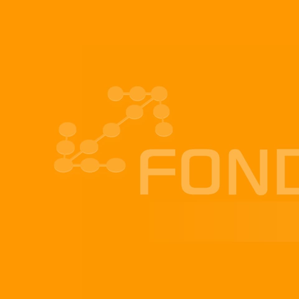 FONDAZIONE ATM 960 960